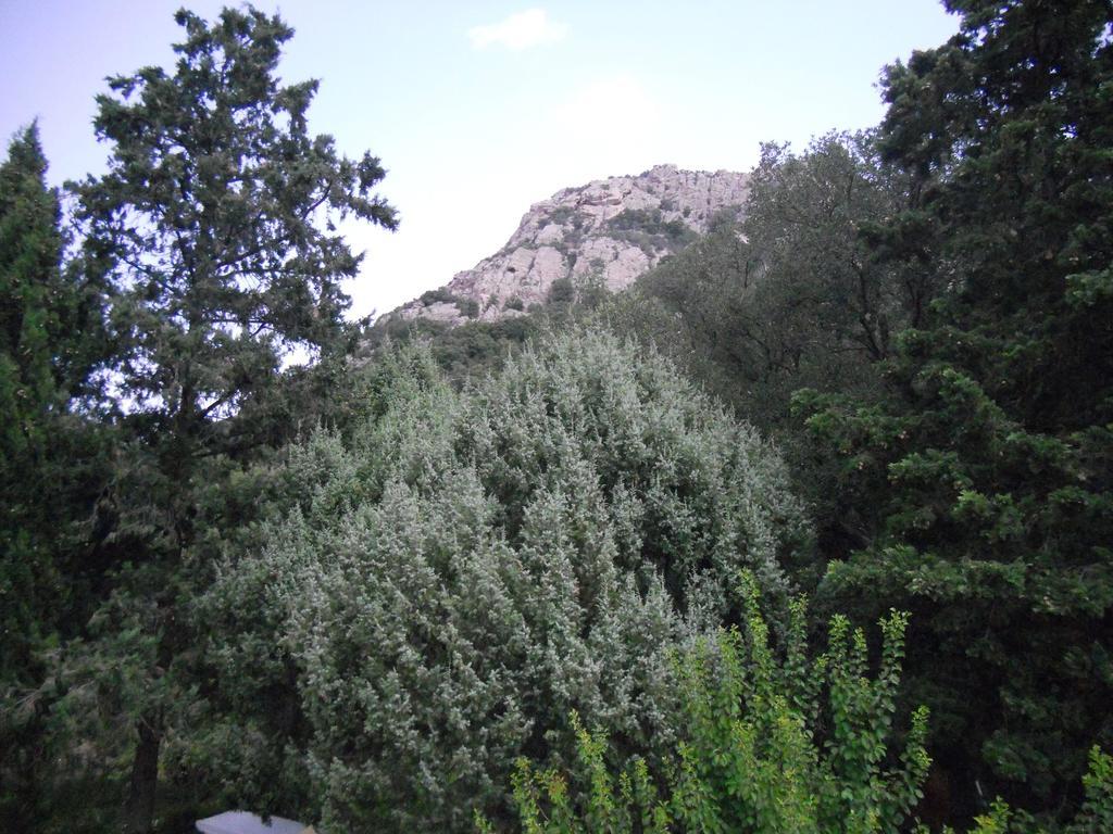 Agriturismo La Casa Delle Fate Loiri Porto San Paolo Ngoại thất bức ảnh