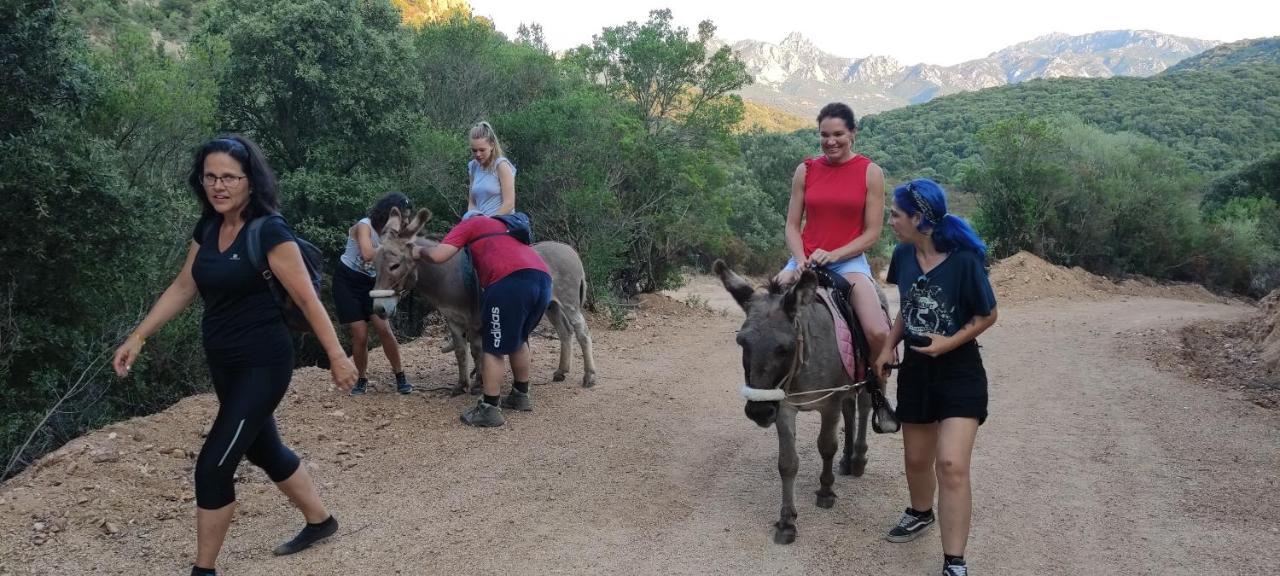 Agriturismo La Casa Delle Fate Loiri Porto San Paolo Ngoại thất bức ảnh
