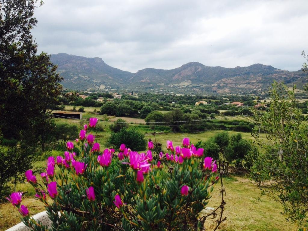 Agriturismo La Casa Delle Fate Loiri Porto San Paolo Ngoại thất bức ảnh