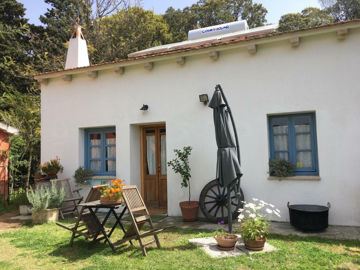 Agriturismo La Casa Delle Fate Loiri Porto San Paolo Ngoại thất bức ảnh