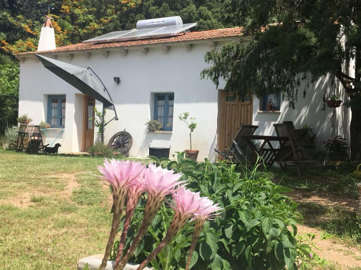 Agriturismo La Casa Delle Fate Loiri Porto San Paolo Ngoại thất bức ảnh